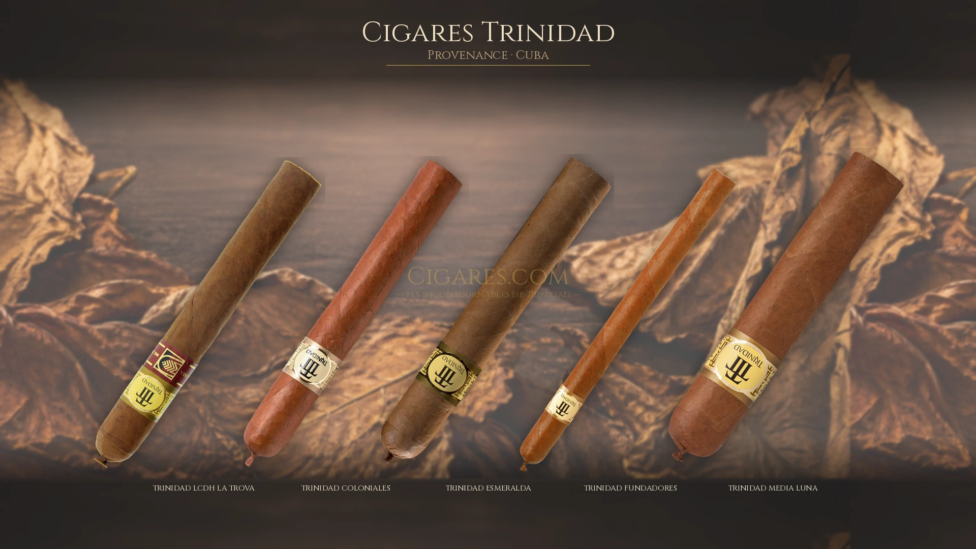 Top 5 cigares Trinidad — les plus populaires