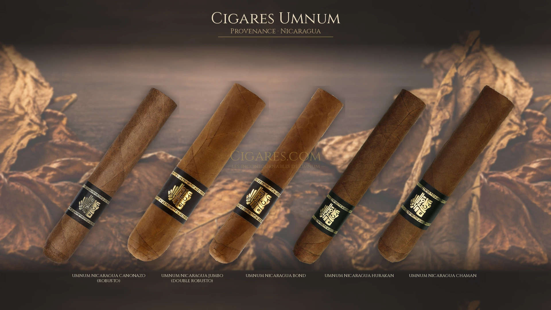 Top 5 cigares Umnum — les plus populaires