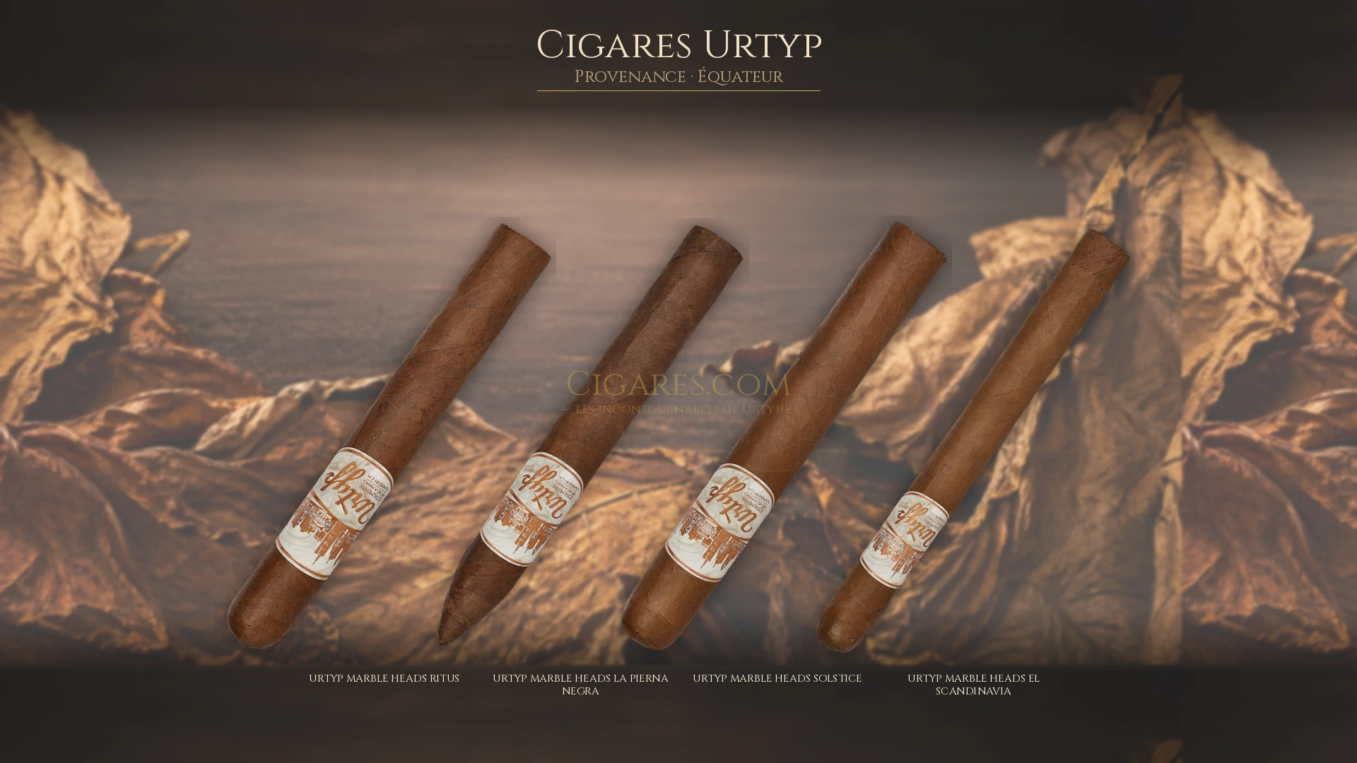 Top 5 cigares Urtyp — les plus populaires