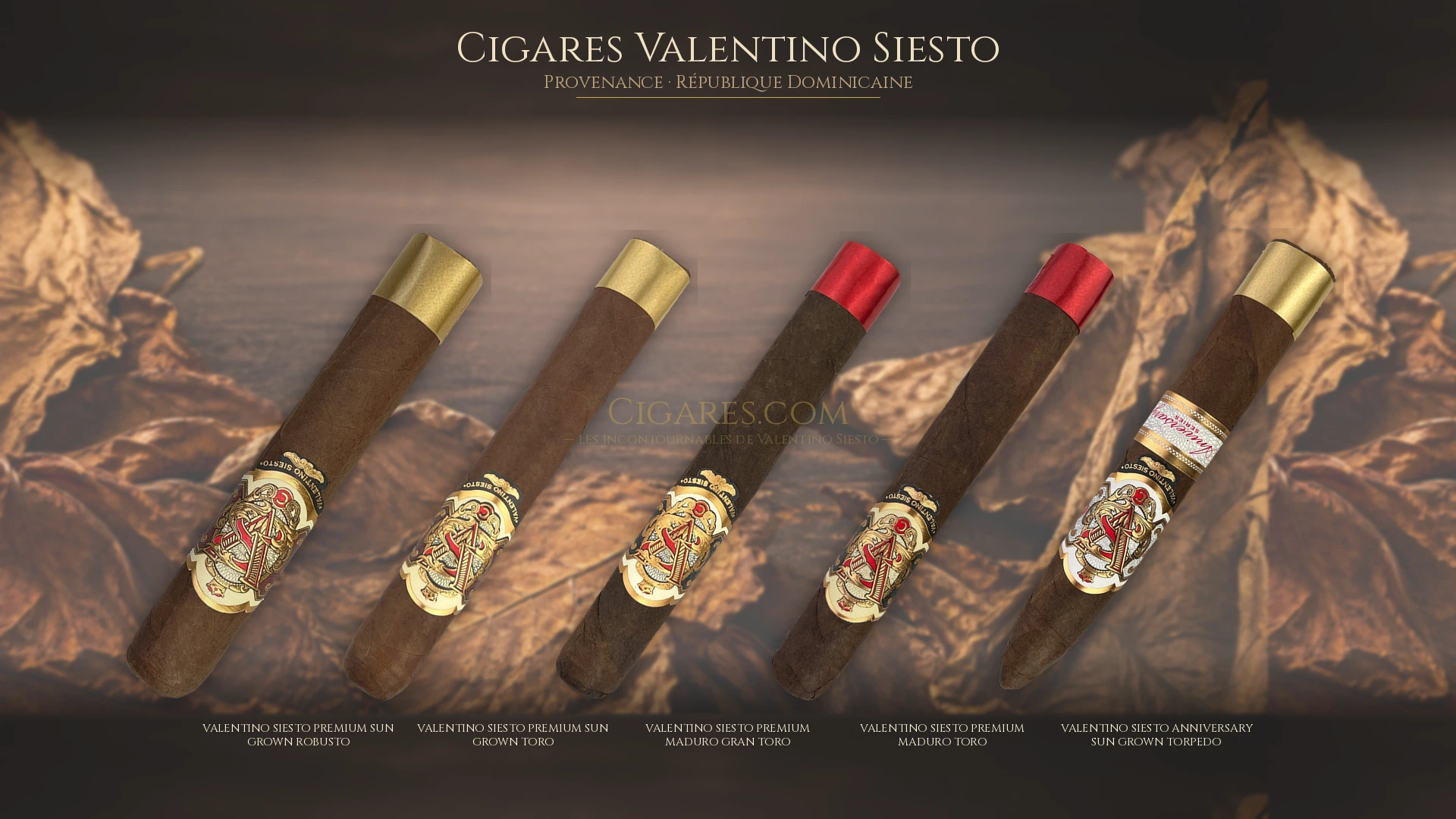 Top 5 cigares Valentino Siesto — les plus populaires