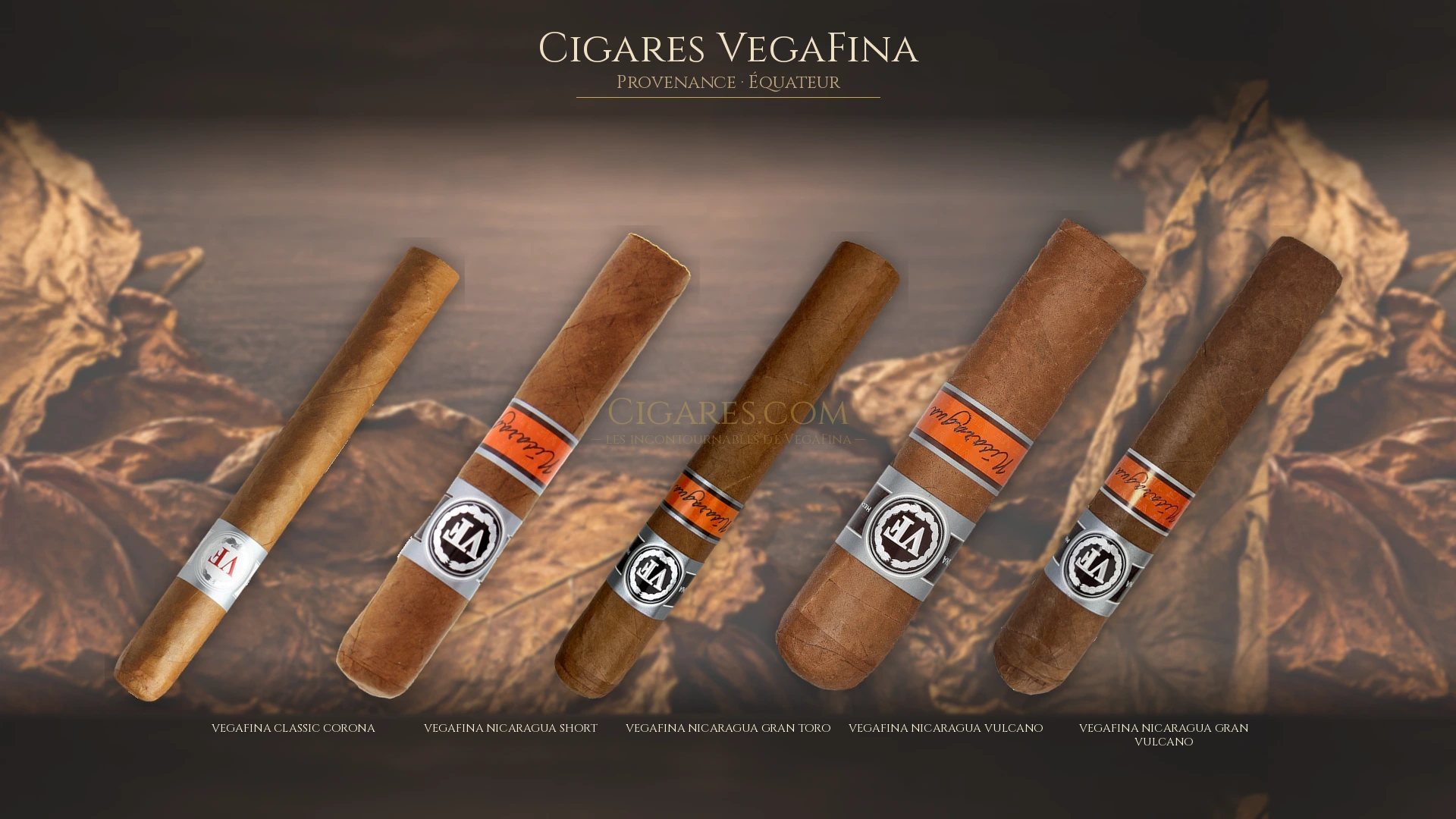 Top 5 cigares VegaFina — les plus populaires