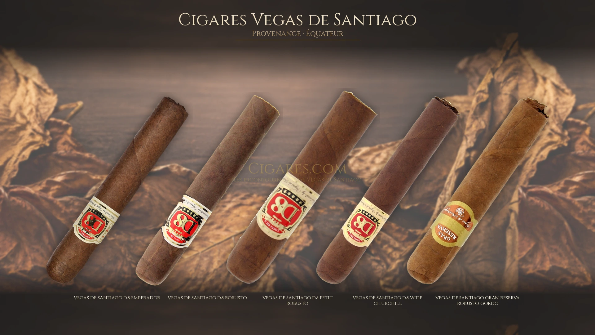 Top 5 cigares Vegas de Santiago — les plus populaires