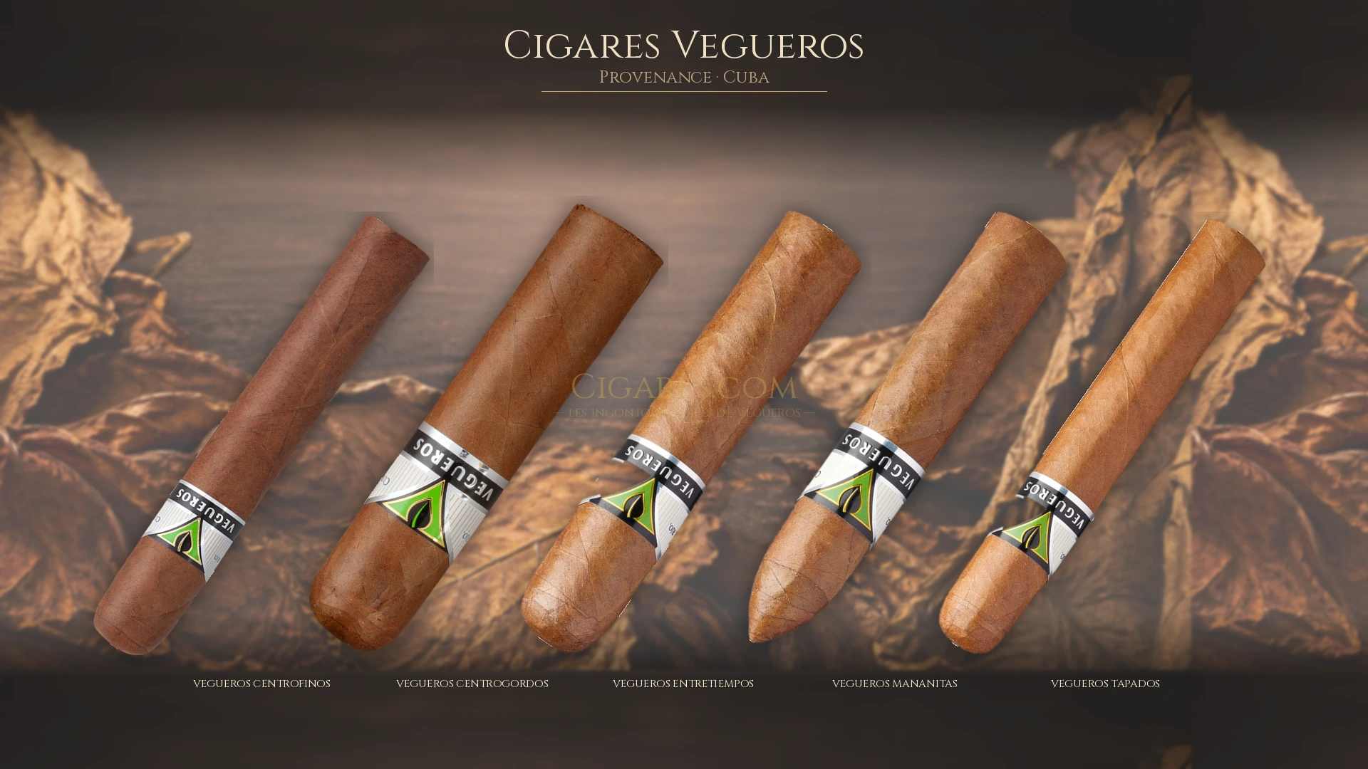 Top 5 cigares Vegueros — les plus populaires