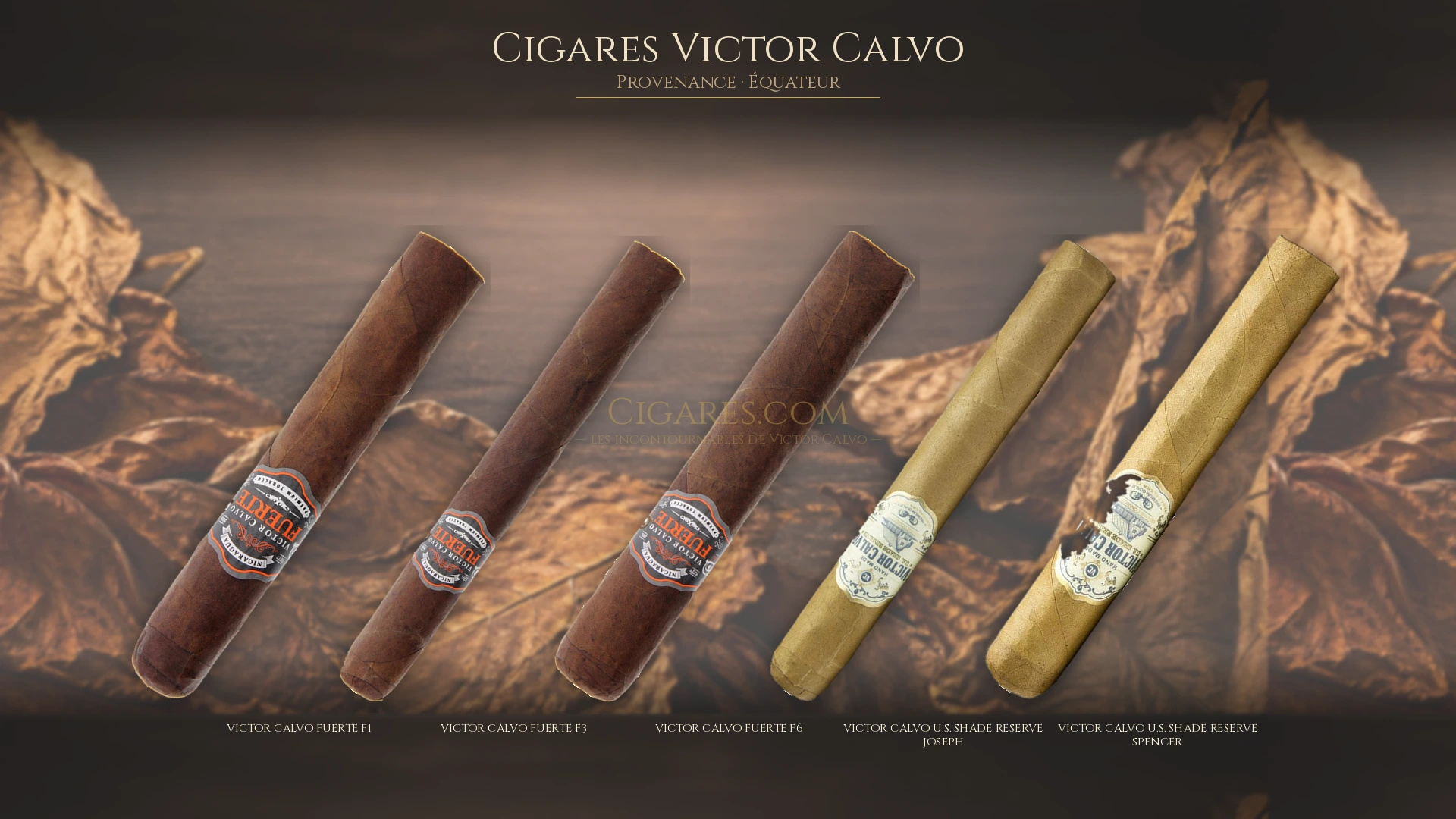 Top 5 cigares Victor Calvo — les plus populaires
