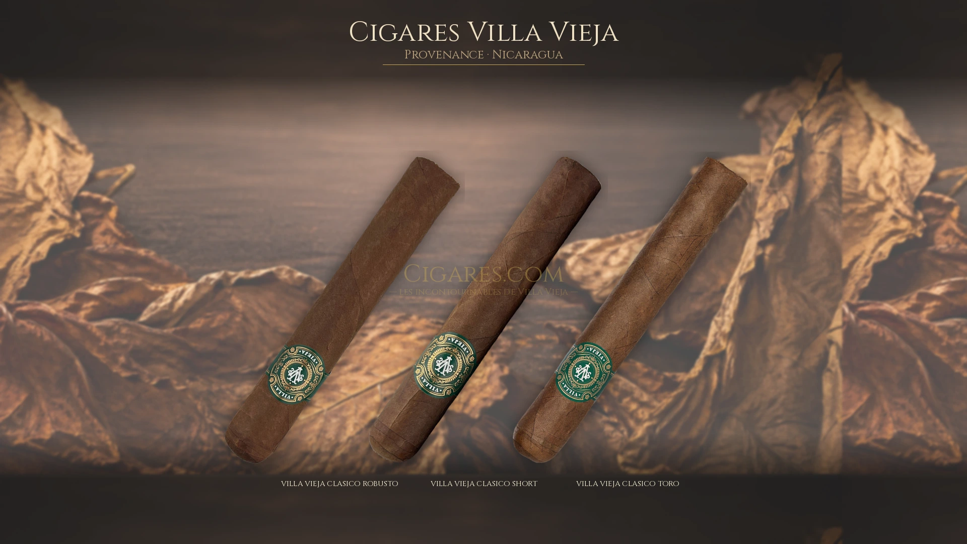 Top 5 cigares Villa Vieja — les plus populaires