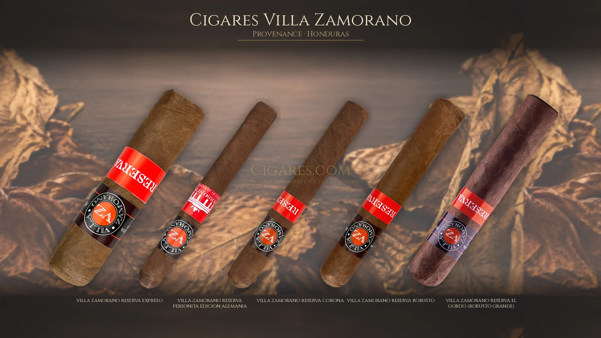 Top 5 cigares Villa Zamorano — les plus populaires