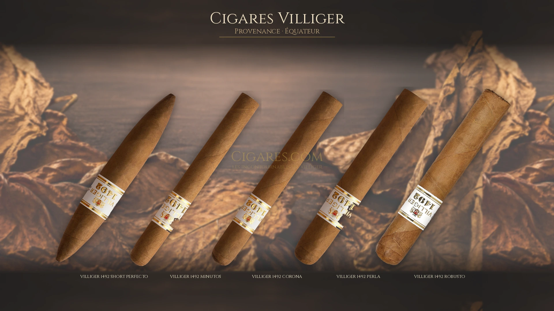 Top 5 cigares Villiger — les plus populaires