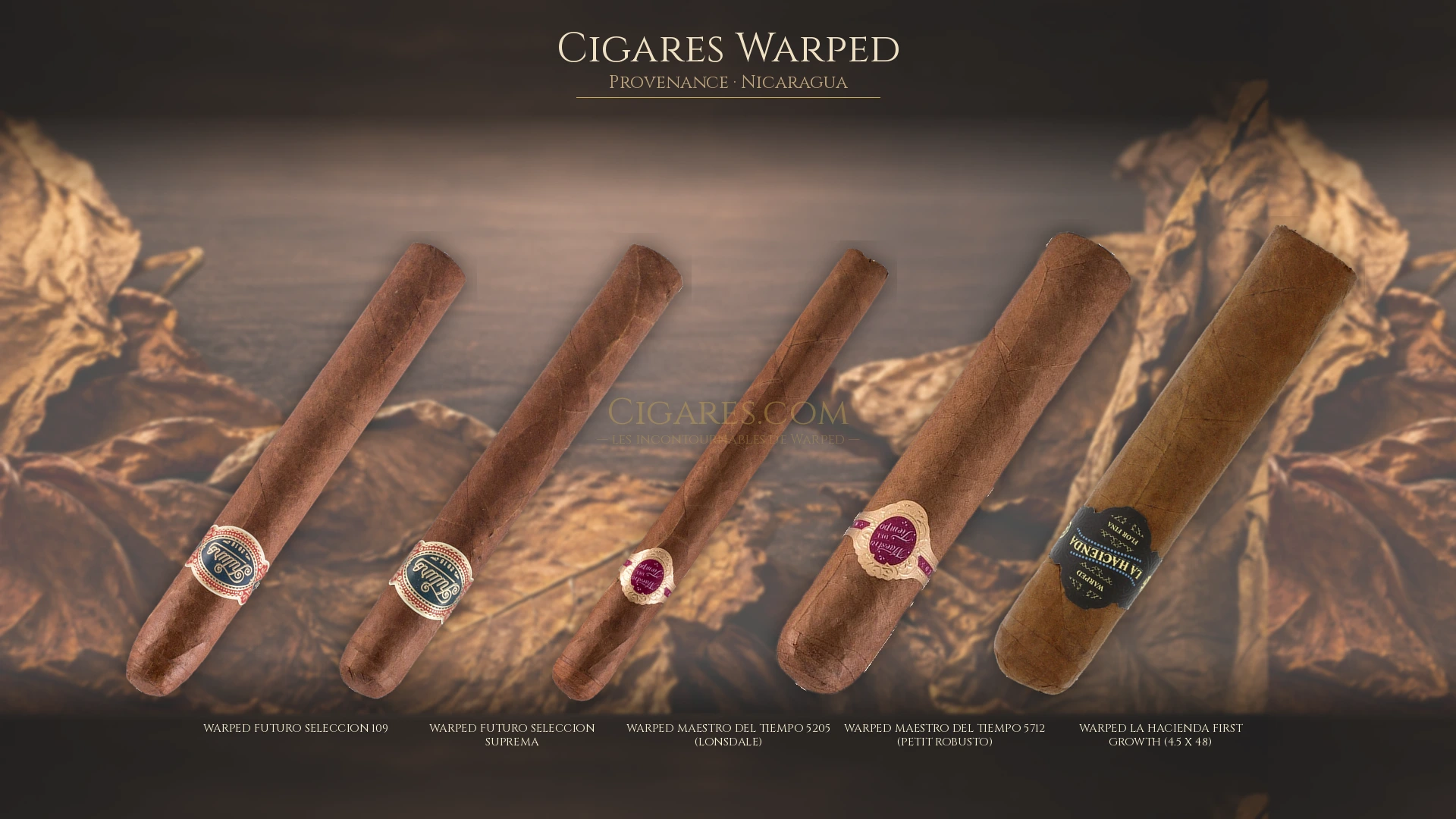Top 5 cigares Warped — les plus populaires