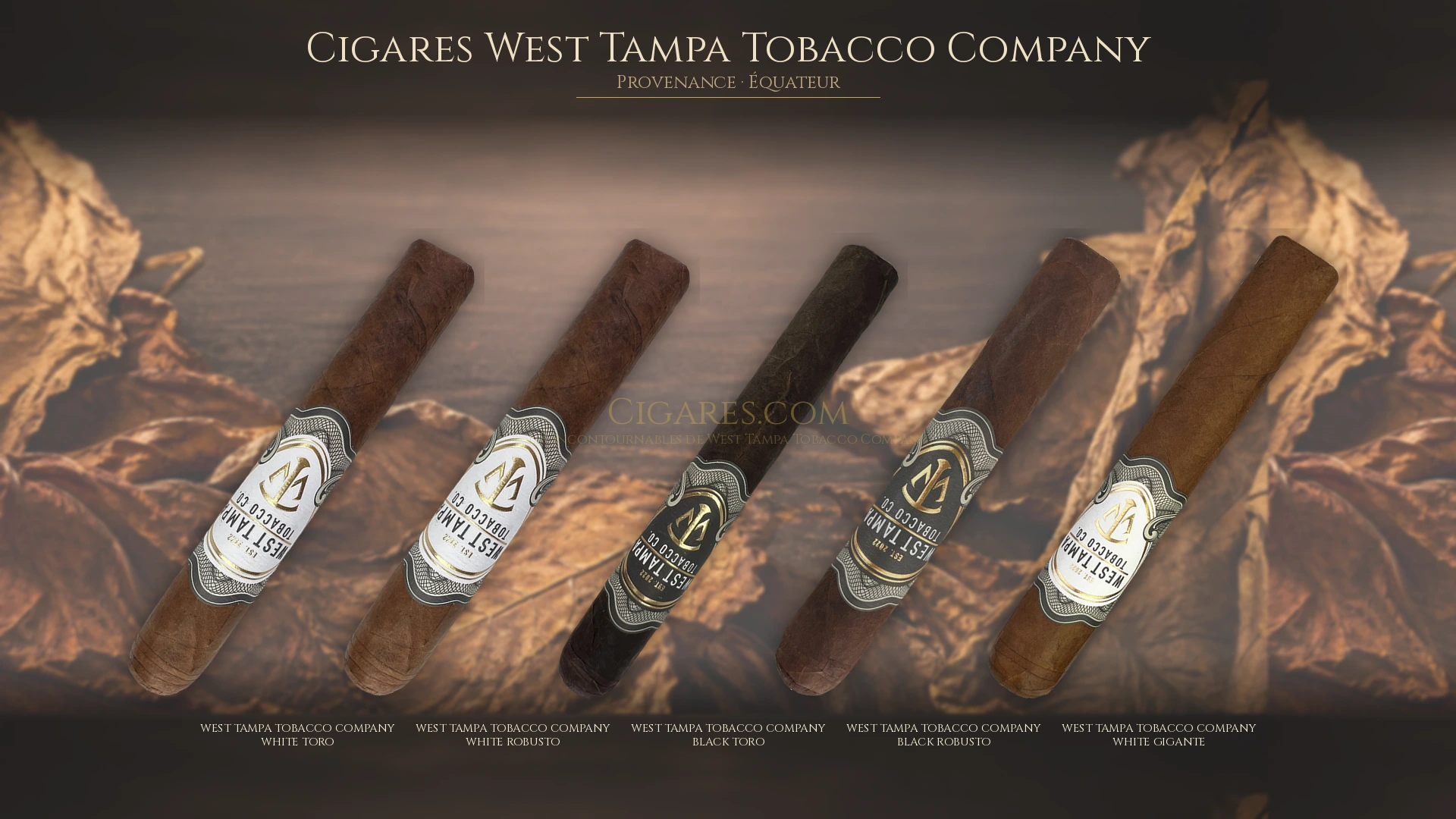 Top 5 cigares West Tampa Tobacco Company — les plus populaires