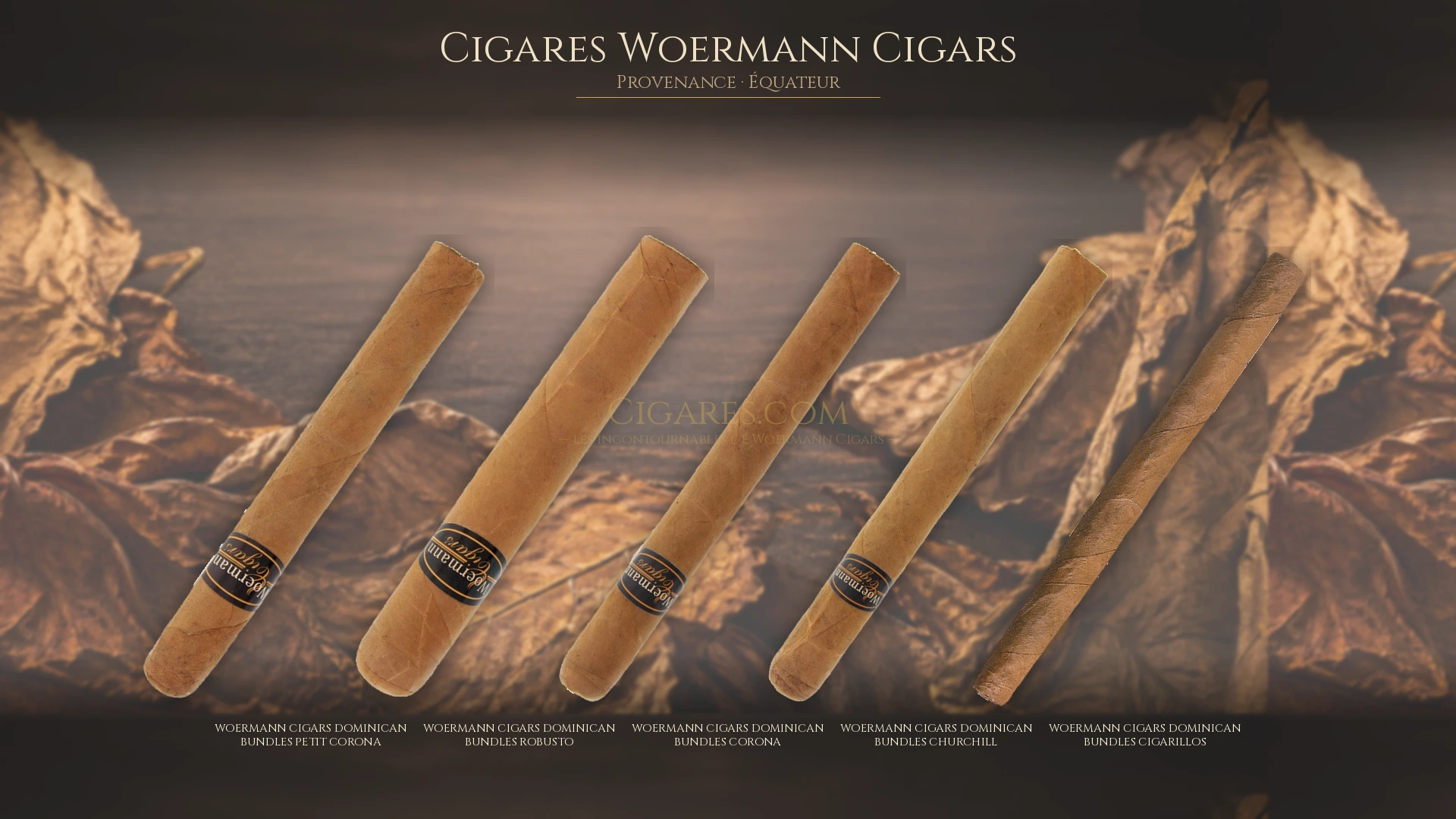 Top 5 cigares Woermann Cigars — les plus populaires