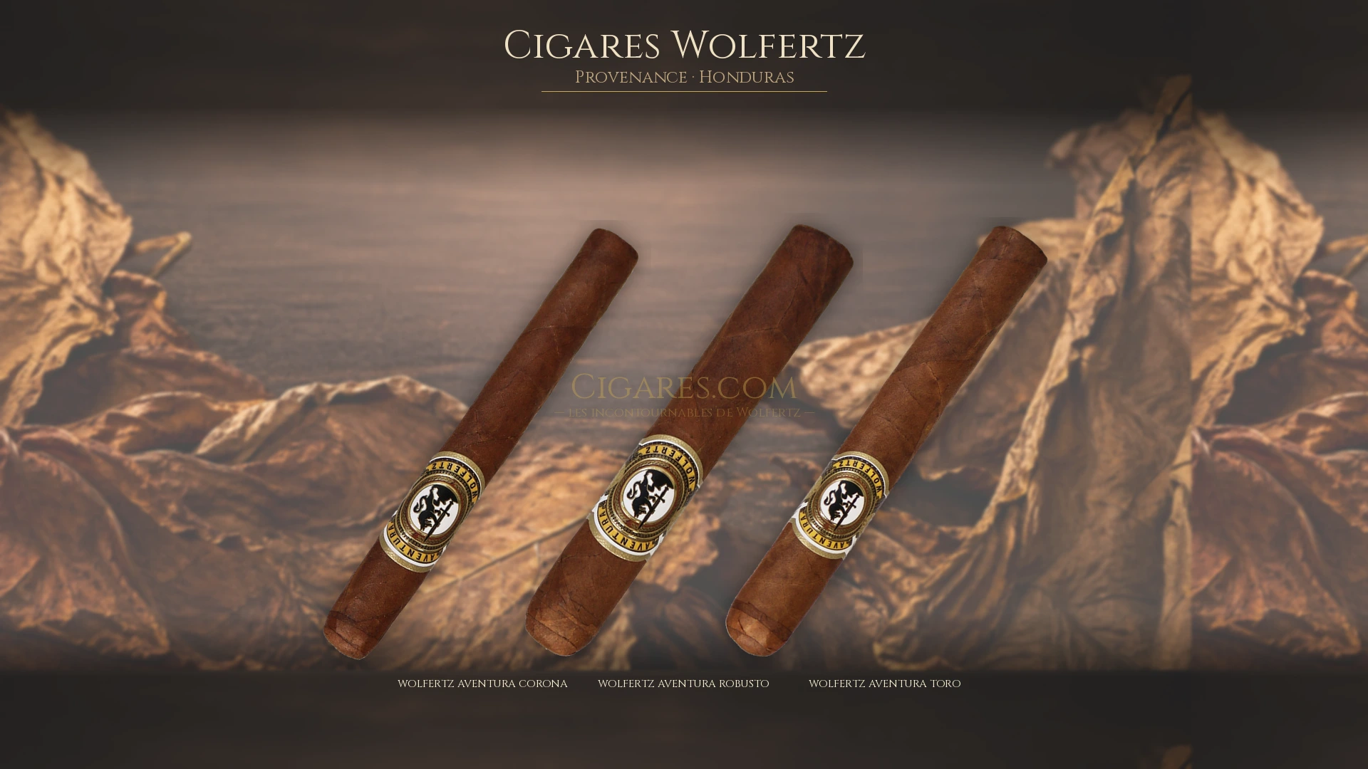 Top 5 cigares Wolfertz — les plus populaires
