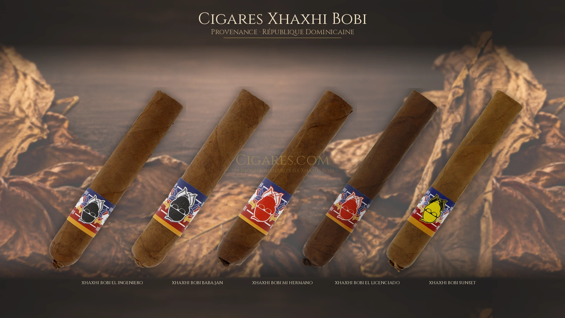 Top 5 cigares Xhaxhi Bobi — les plus populaires