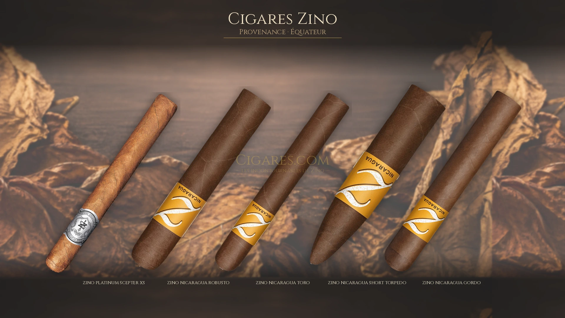 Top 5 cigares Zino — les plus populaires