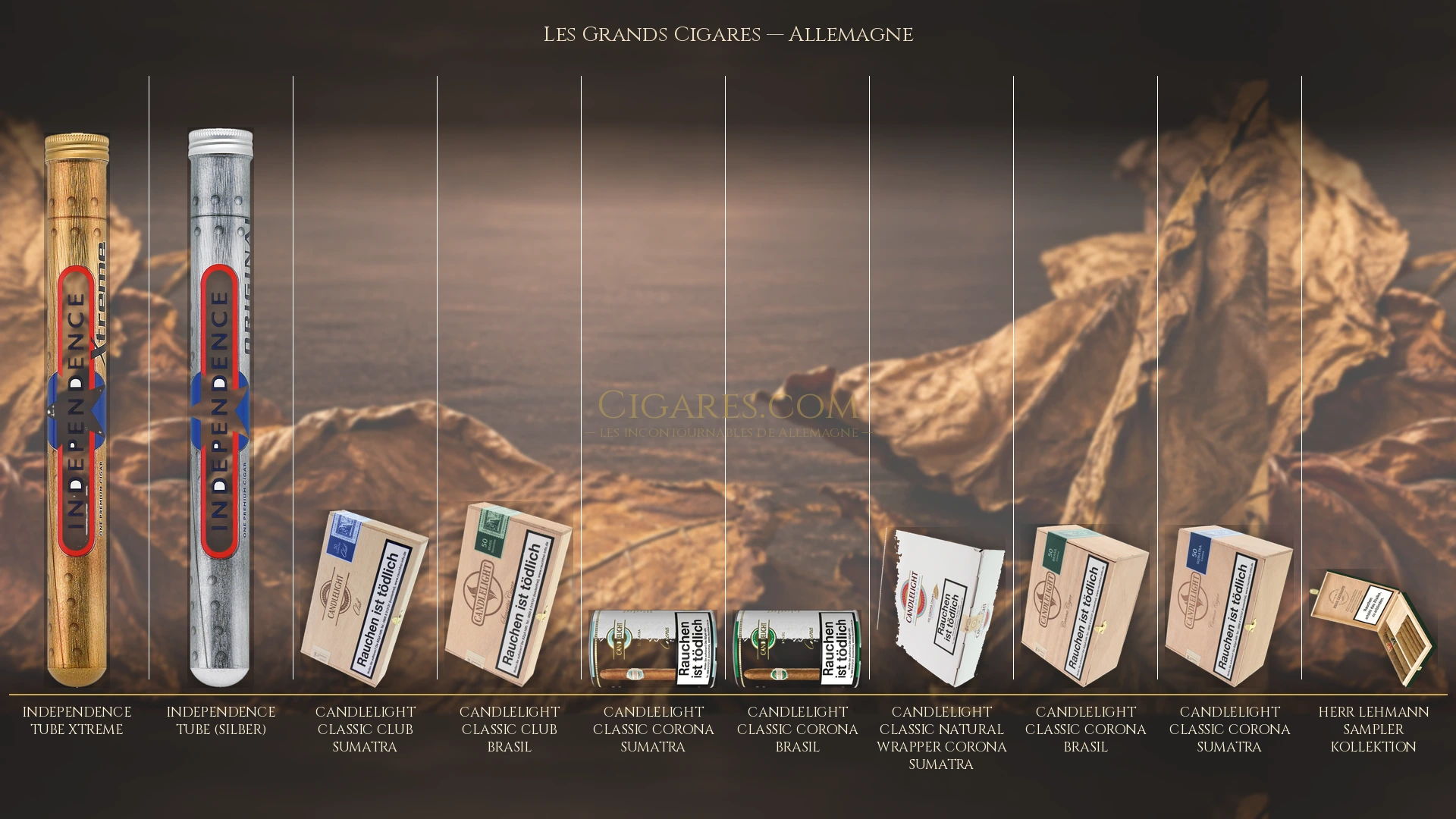 Top 10 cigares de Allemagne — les plus populaires