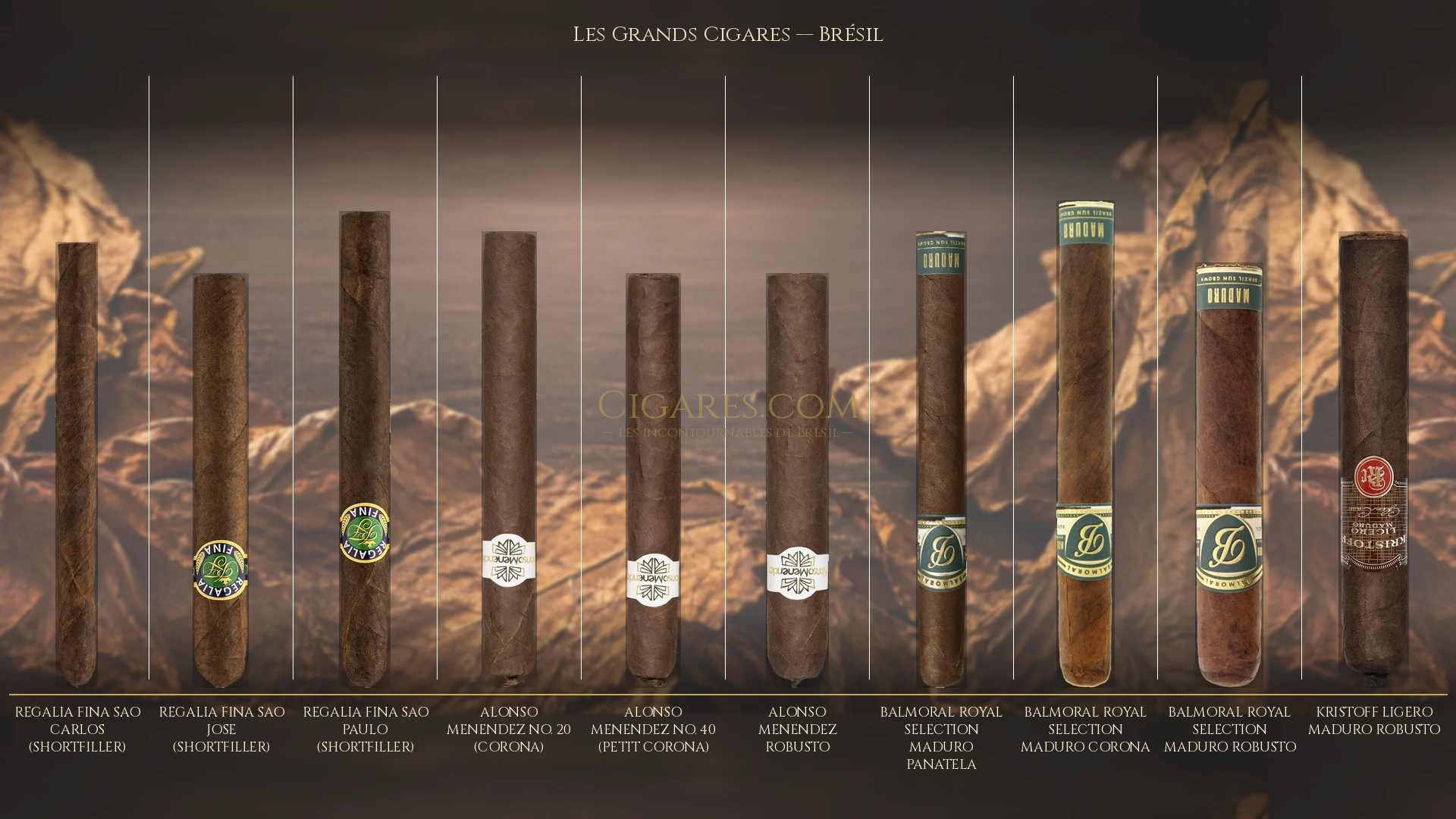 Top 10 cigares de Brésil — les plus populaires
