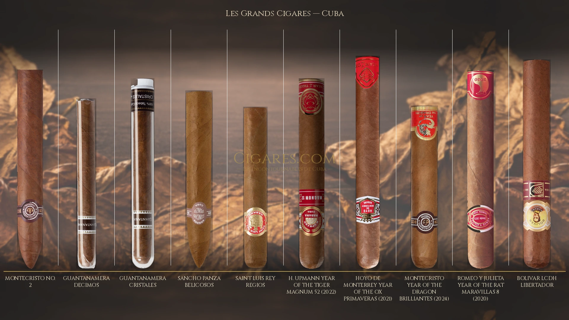 Top 10 cigares de Cuba — les plus populaires