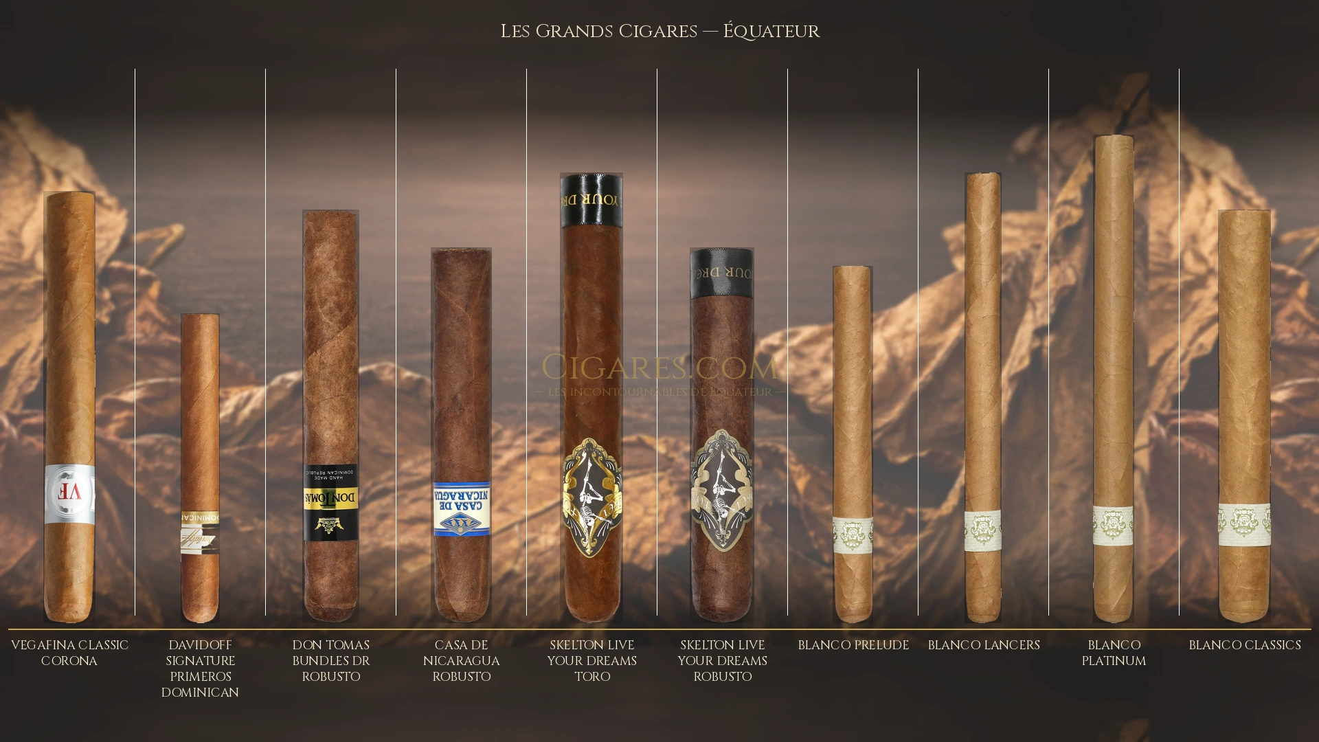 Top 10 cigares de Équateur — les plus populaires
