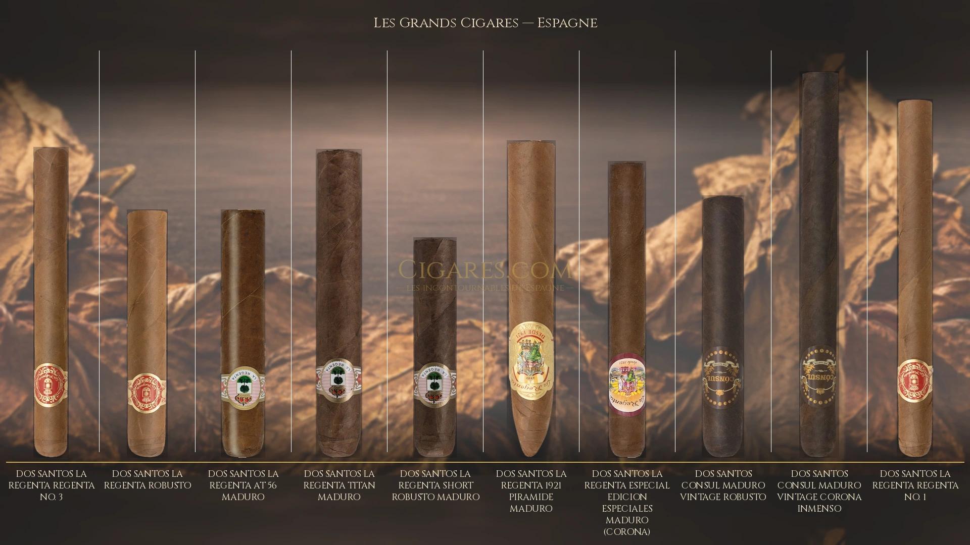 Top 10 cigares de Espagne — les plus populaires