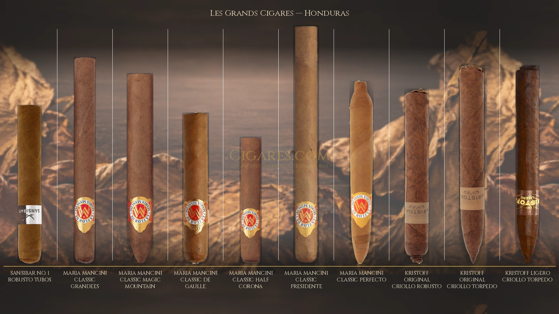 Top 10 cigares de Honduras — les plus populaires