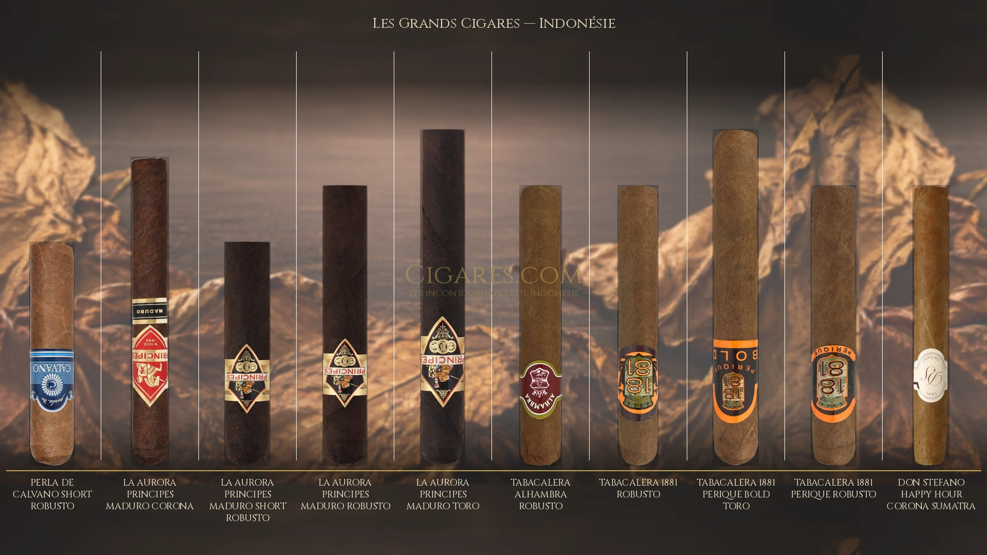 Top 10 cigares de Indonésie — les plus populaires