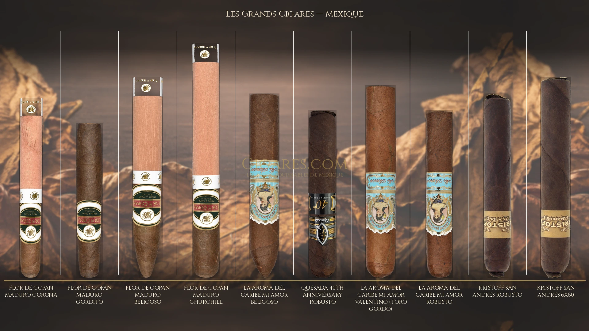 Top 10 cigares de Mexique — les plus populaires