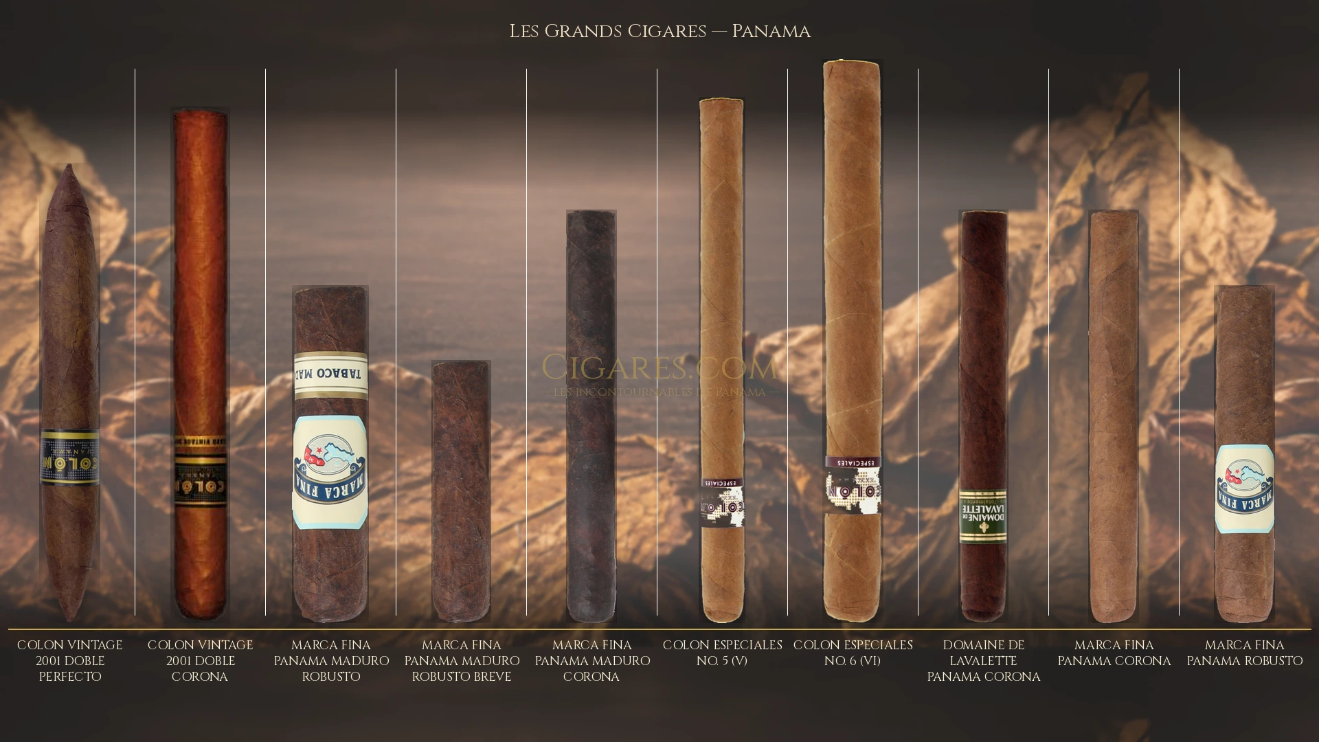 Top 10 cigares de Panama — les plus populaires