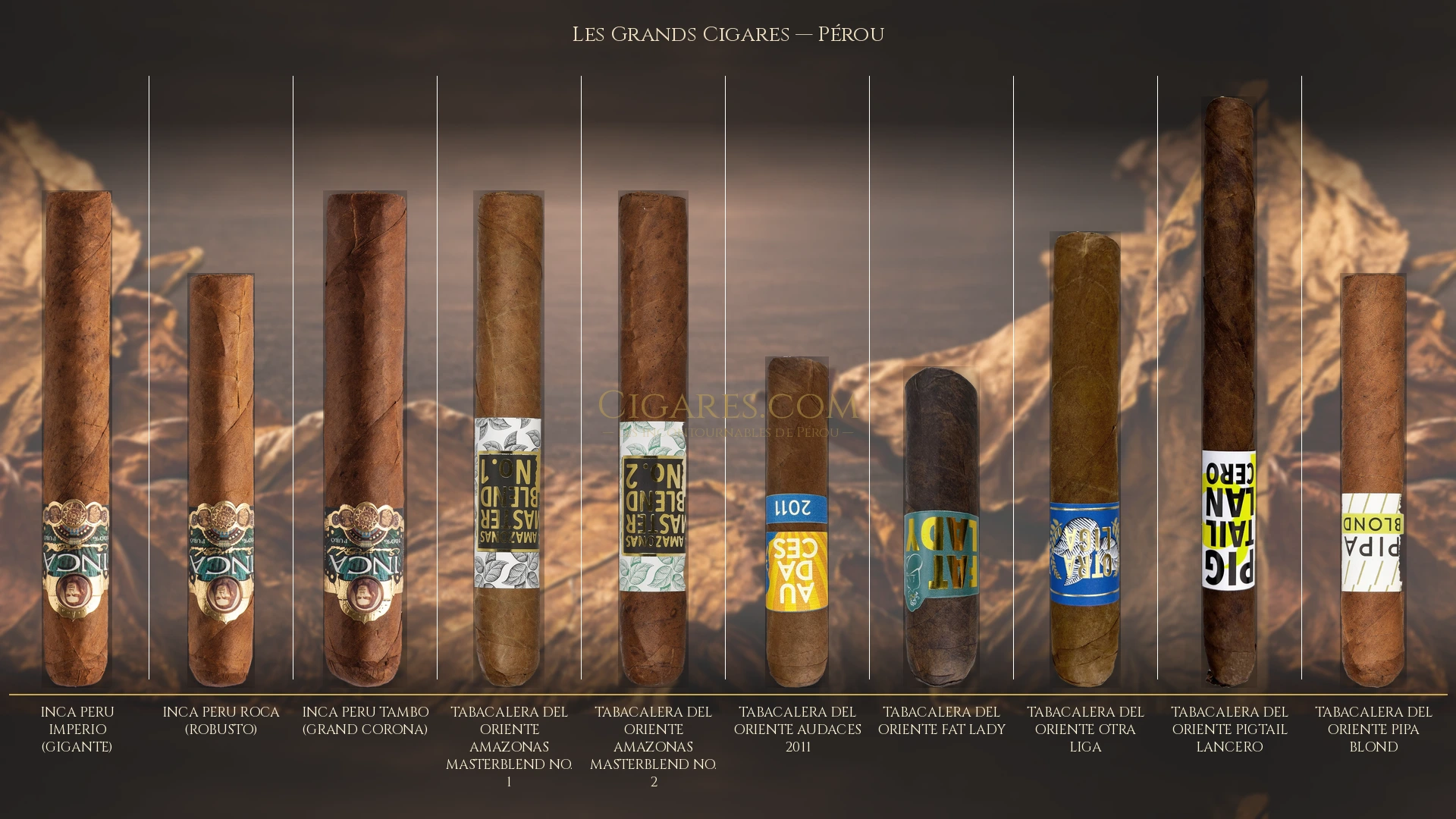 Top 10 cigares de Pérou — les plus populaires