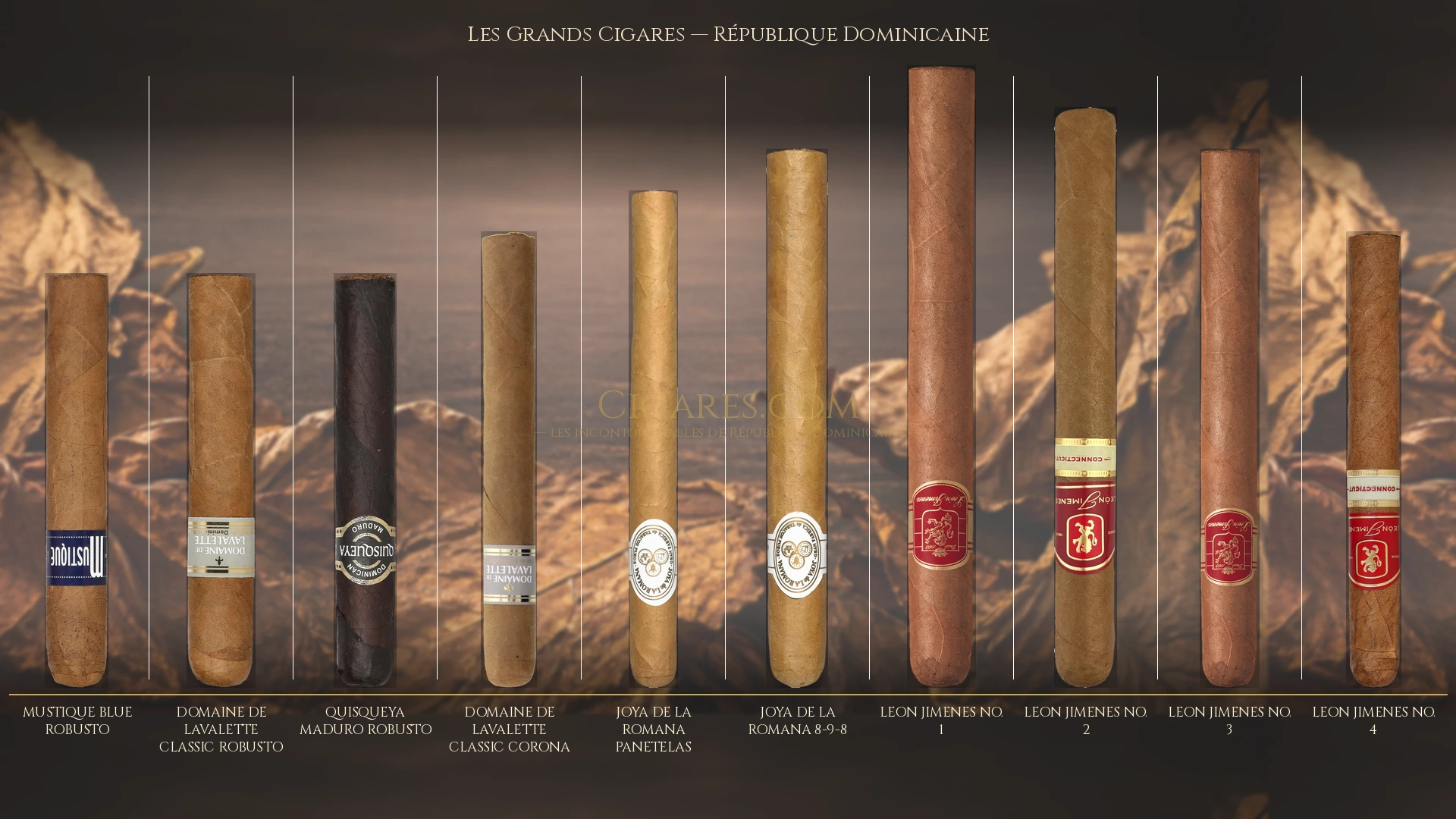 Top 10 cigares de République Dominicaine — les plus populaires