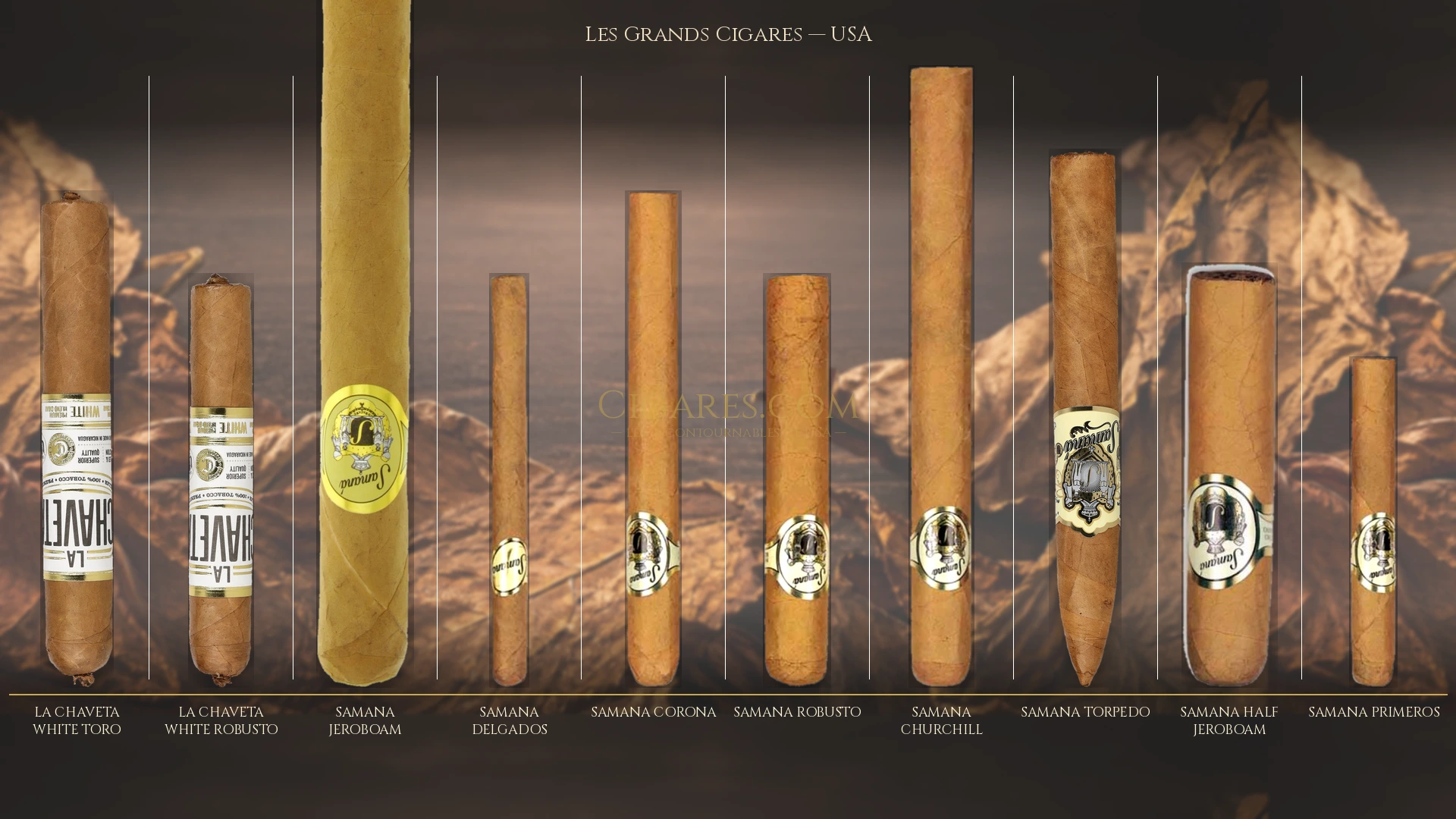 Top 10 cigares de USA — les plus populaires